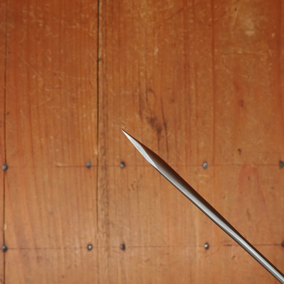 Ambrogio Sanelli - Lacing Needle 24cm