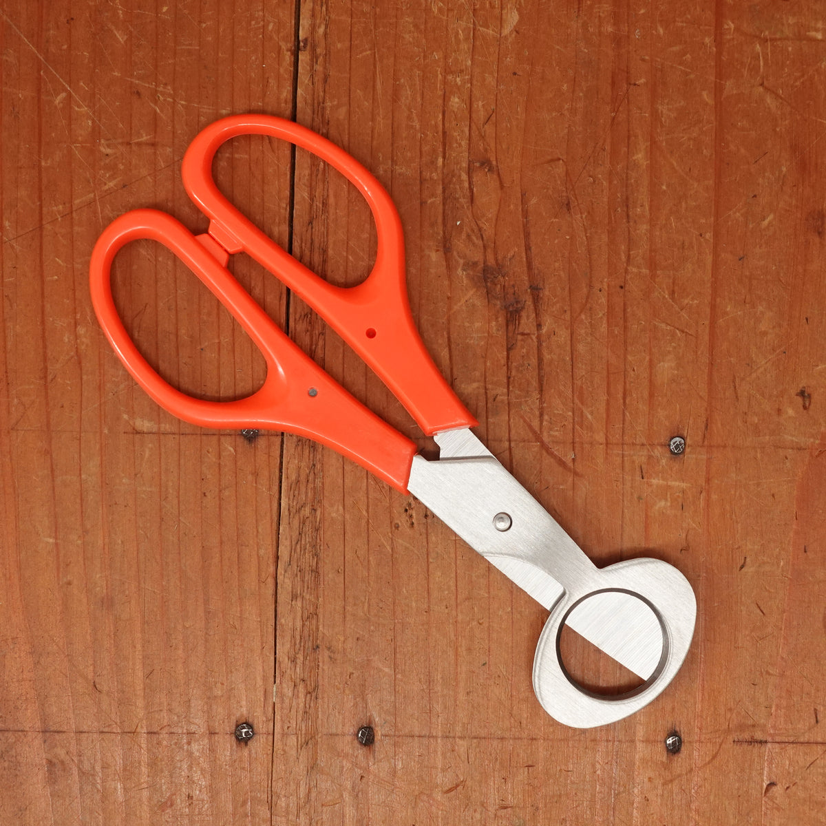 Quail Egg Snips