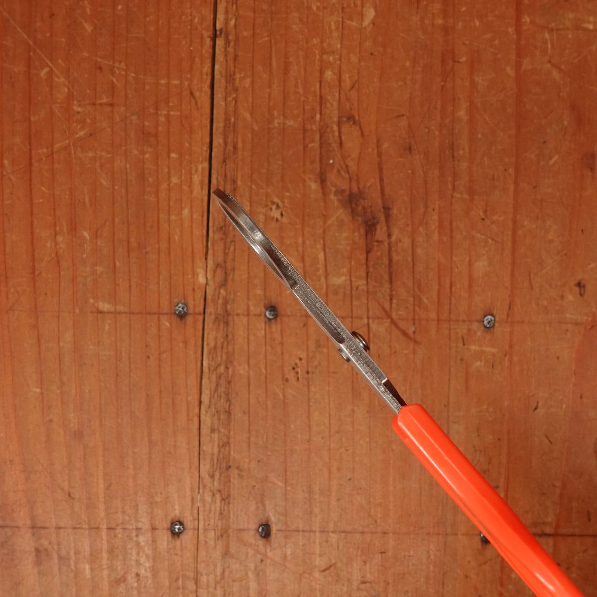 Quail Egg Snips