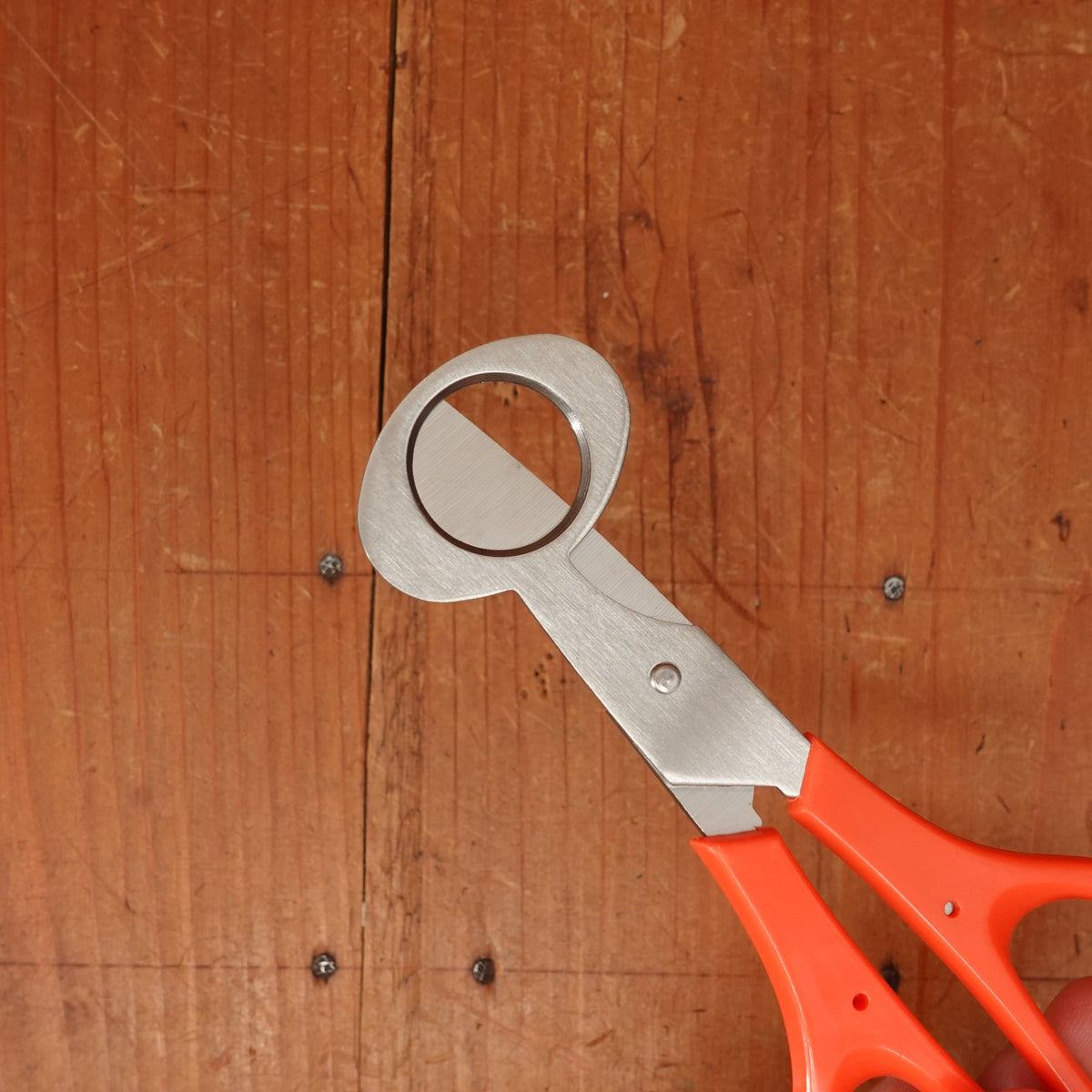 Quail Egg Snips