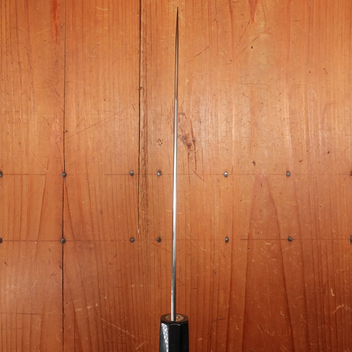 Sakai Kikumori Choyo 210mm Gyuto Shirogami 2 with Saya
