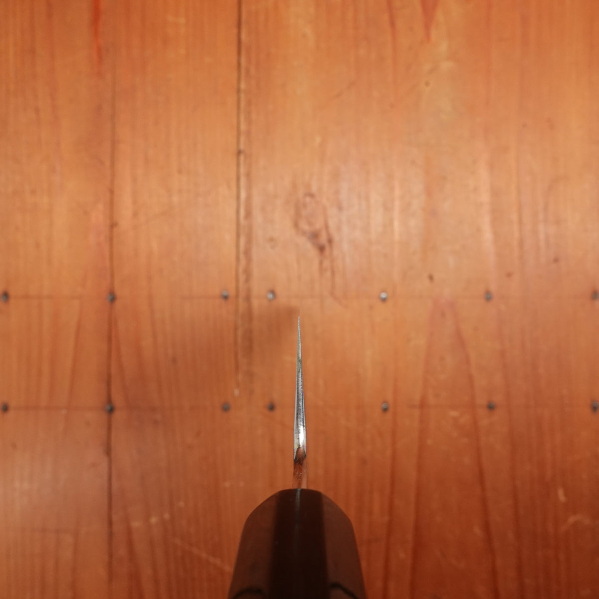 Sakai Kikumori Choyo 210mm Gyuto Shirogami 2 with Saya