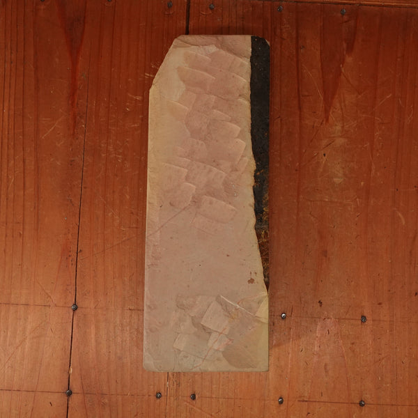 #785 Shoubudani Iromono Nashiji Fast Crisp Smooth EZ 3.5+ Hard 3.5 Fine Type 40 1328 grams