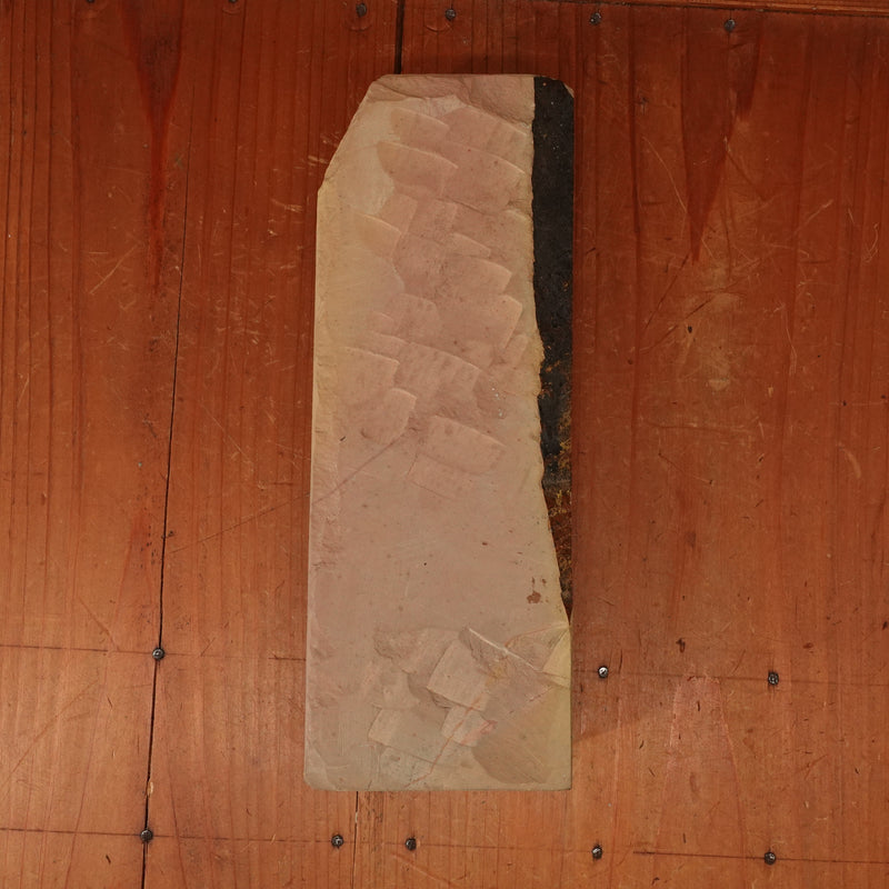 #785 Shoubudani Iromono Nashiji Fast Crisp Smooth EZ 3.5+ Hard 3.5 Fine Type 40 1328 grams