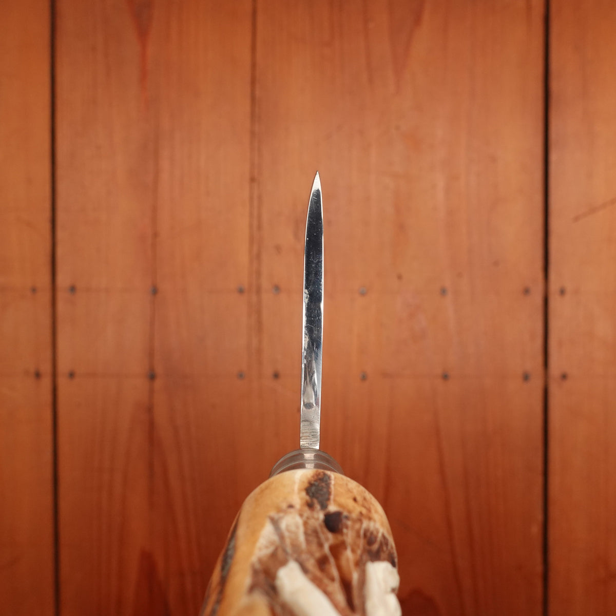 Walter Willms Carving Set Stainless & Carved Stag Solingen 1960-70s - 5 Pieces