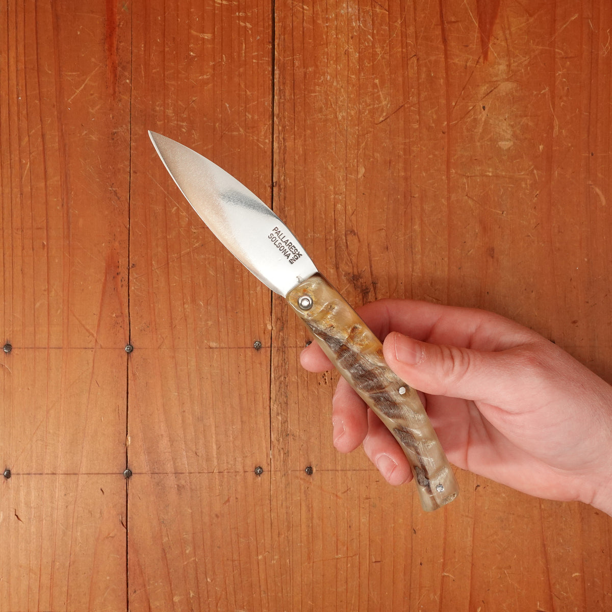 Pallares Busa 10cm Drop Point Stainless Steel Friction Lock Dark Ram Horn Handle