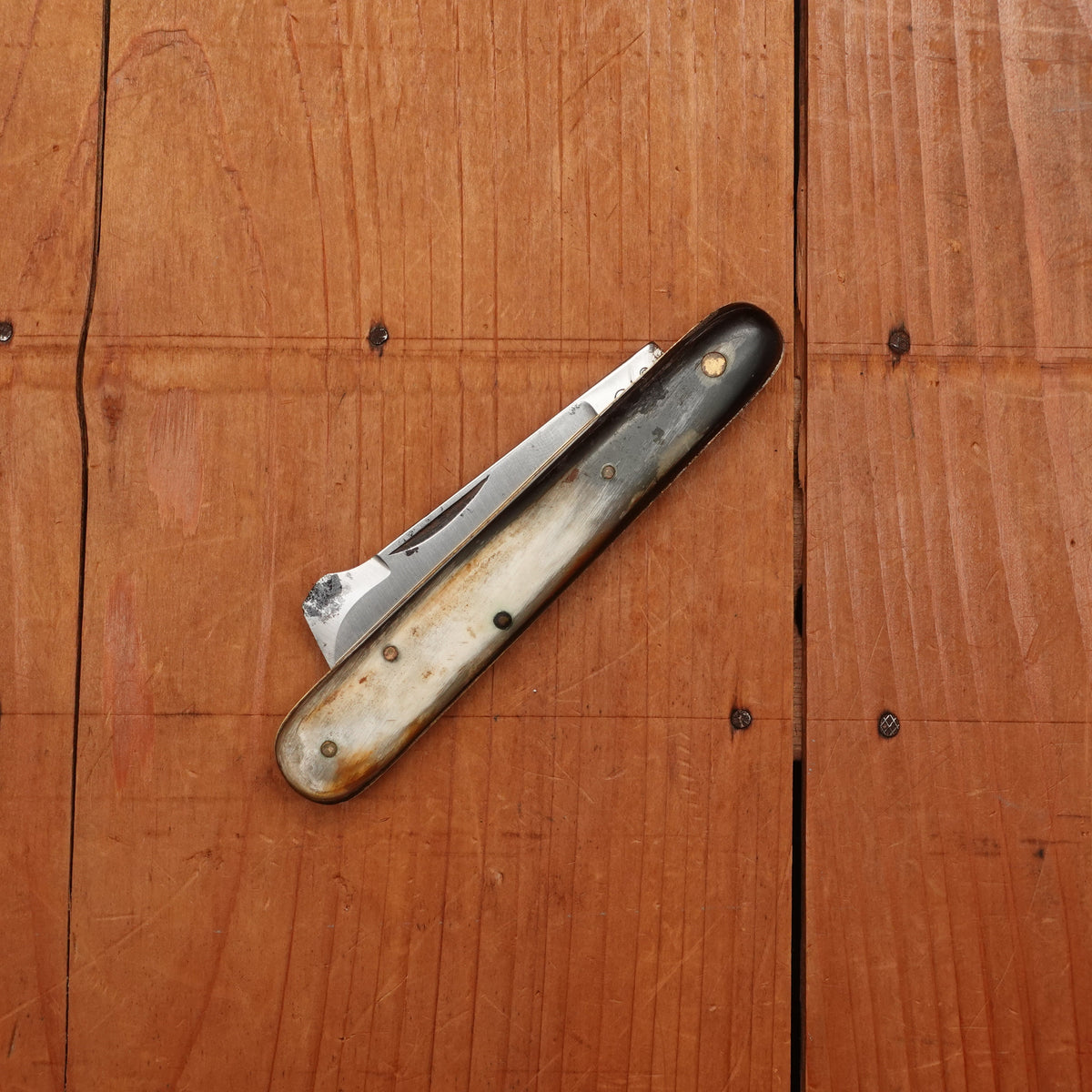 New Old Stock 4 1/8" Non- Bolstered Grafting Knife Carbon Steel & Horn Maniago, Italy 1950-70s
