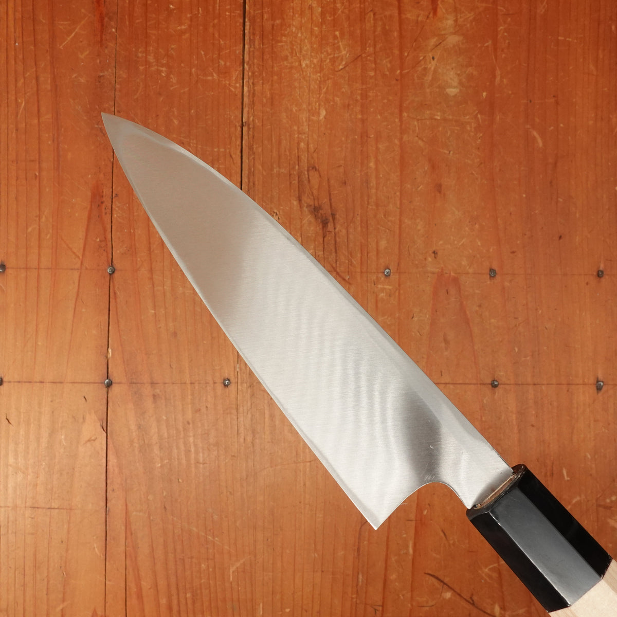 New Old Stock Morikatsu 180mm Funayuki Sakai Ho Wood