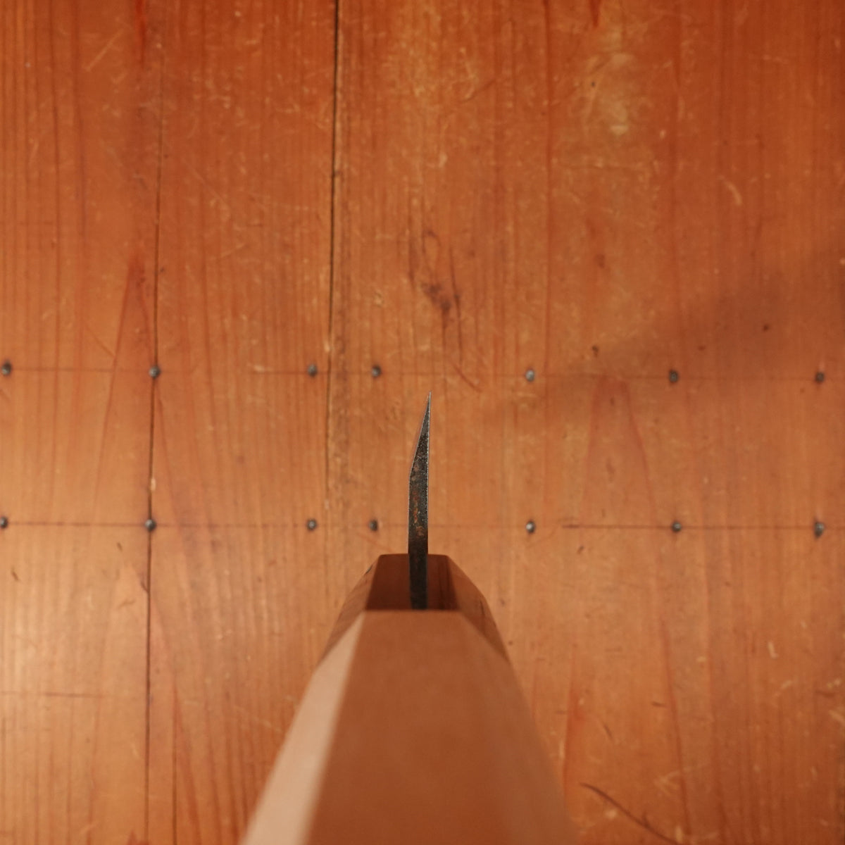 New Old Stock Morikatsu 180mm Funayuki Sakai Ho Wood