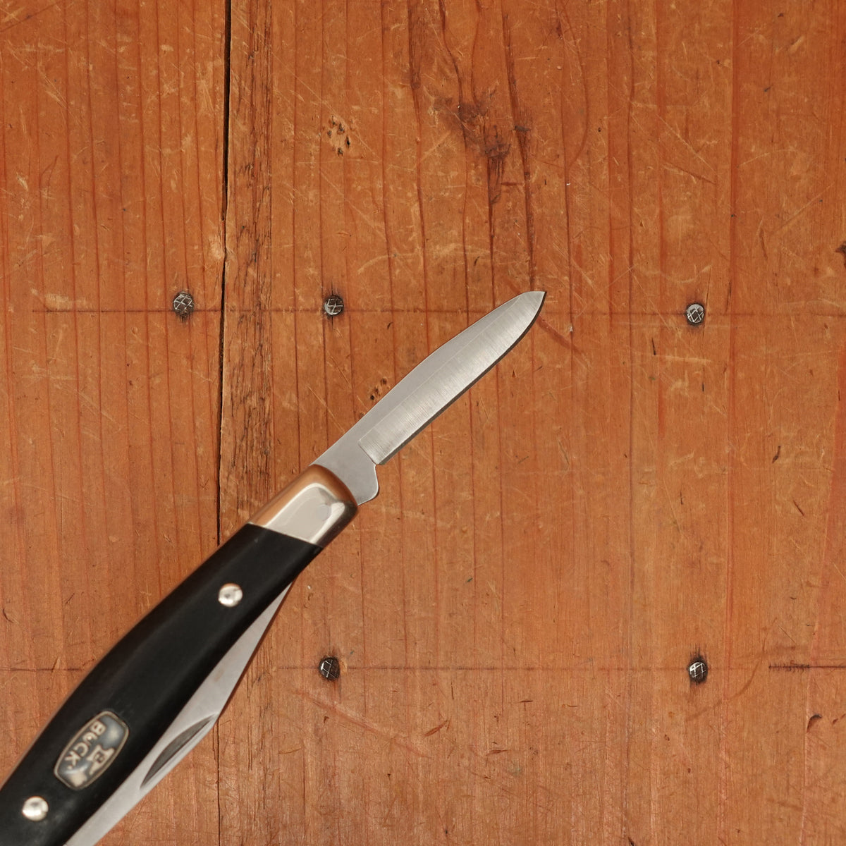 Buck Knives 303 Cadet - Ebony Handle