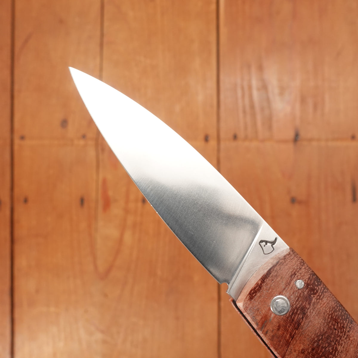 David Margrita Capuchin 11cm Drop Point Stainless Friction Lock Bubinga Wood