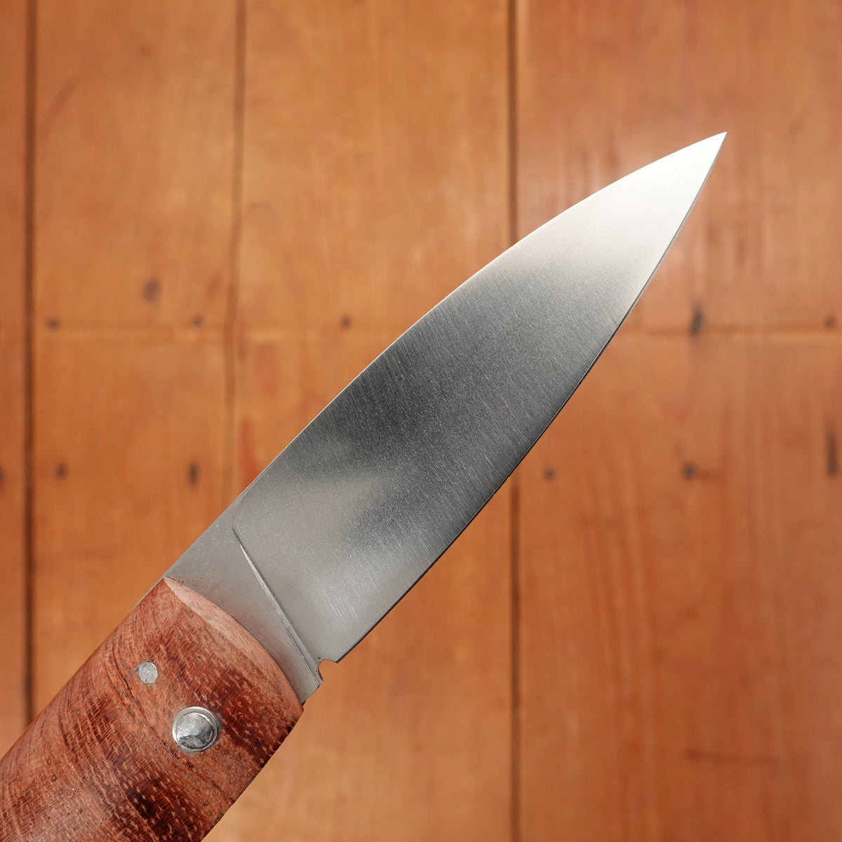 David Margrita Capuchin 11cm Drop Point Stainless Friction Fit Bubinga Wood