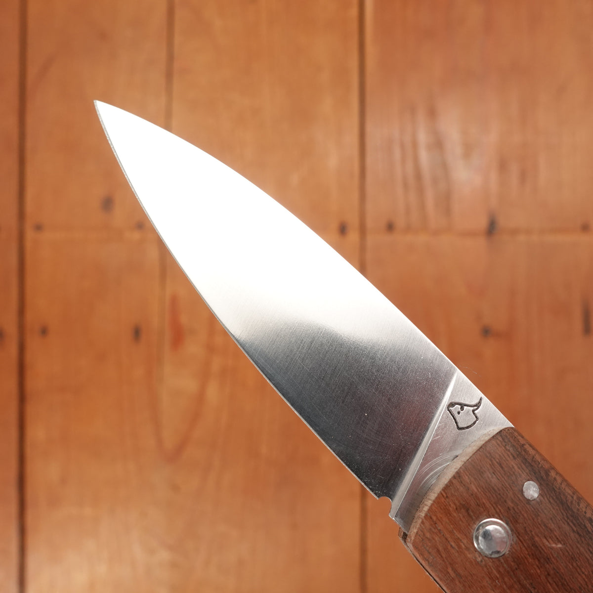 David Margrita Capuchin 11cm Drop Point Stainless Friction Fit Louro Preto Wood