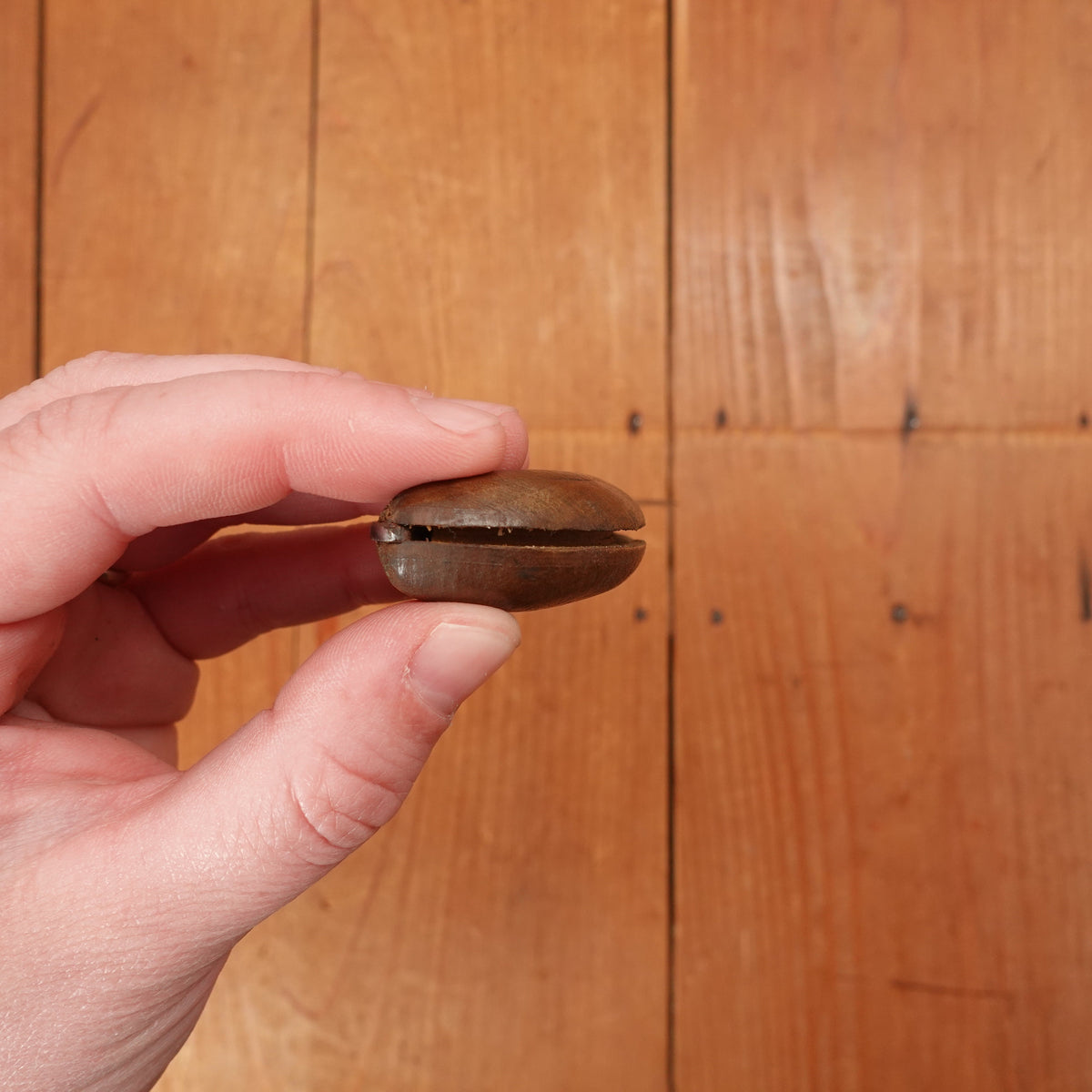 New Old Stock 3 3/8" Serpette Pruning Jack Carbon Steel & Wood Maniago, Italy 1950-70s