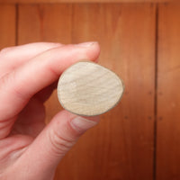 Tosa Tadayoshi 210mm Tosa Style Wa Gyuto Aogami 1 Ho/Horn (D-Shape)