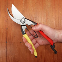 Kan Nihonichi 200mm Pruning Shear Forged Carbon Steel