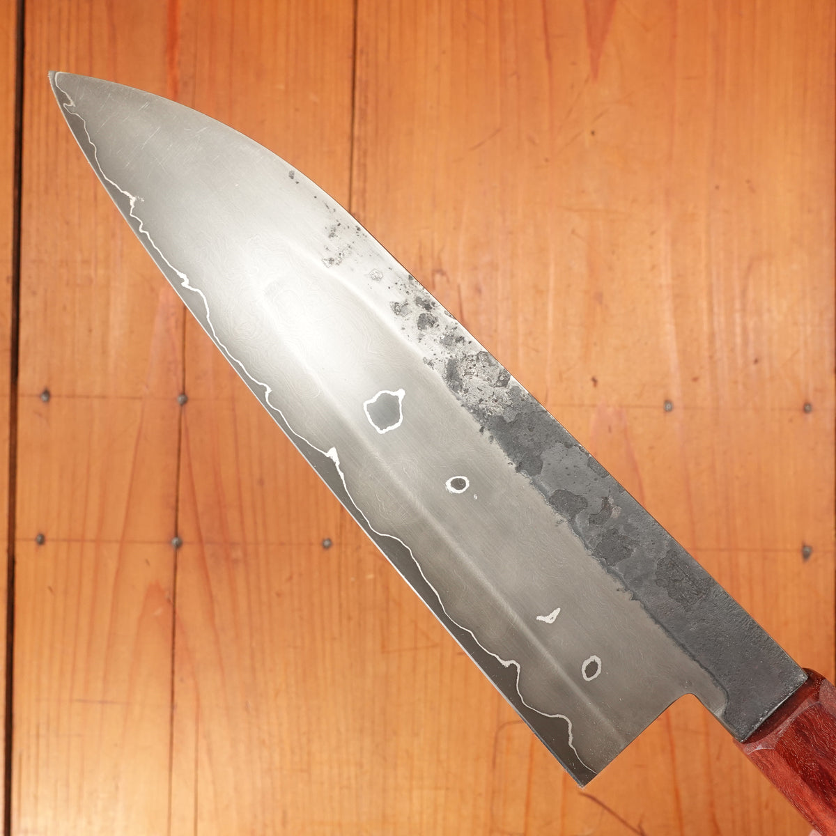 Rolin Knives GoMai 200mm Gyuto 52100 Eucalyptus with Saya