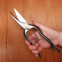Kan Nihonichi 200mm Bud Pruning Shear Forged Carbon Steel