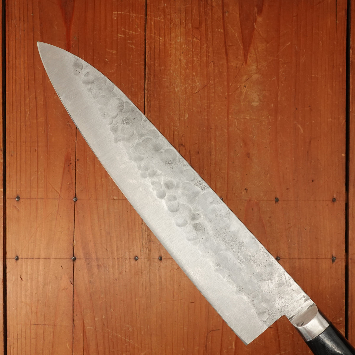 Morihei Hisamoto 240mm Gyuto Stainless Clad Shirogami 1 Tsuchime Pakka Handle
