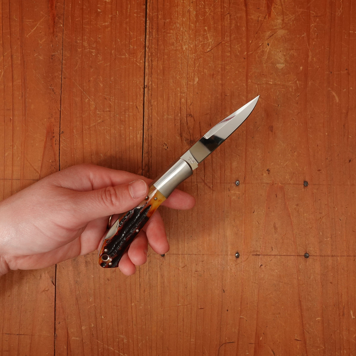 MOKI Kronos 65mm Folding Knife Stag Handle