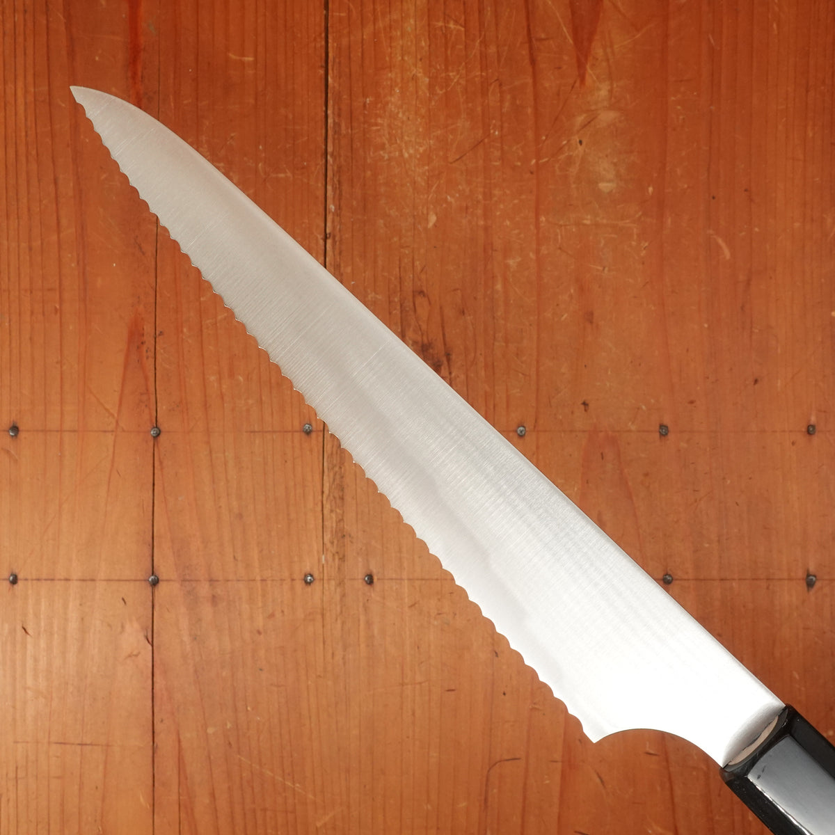 Hitohira Imojiya TH 240mm Bread Knife Stainless Ho Wood & Buffalo Horn Handle