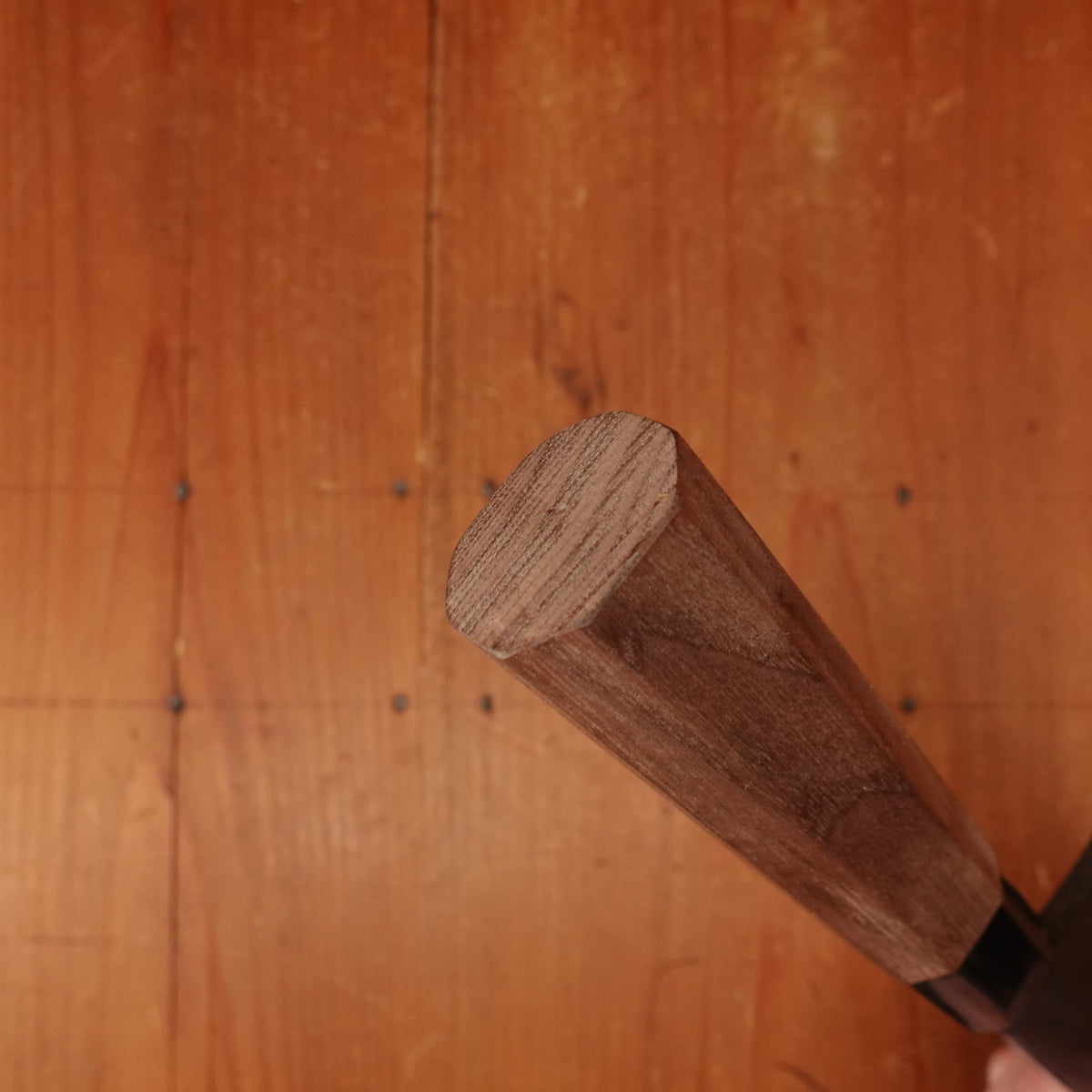 Tosa Tadayoshi 165mm Ryo Deba Aogami 1  Octagonal Walnut/PC Handle - Ambidextrous