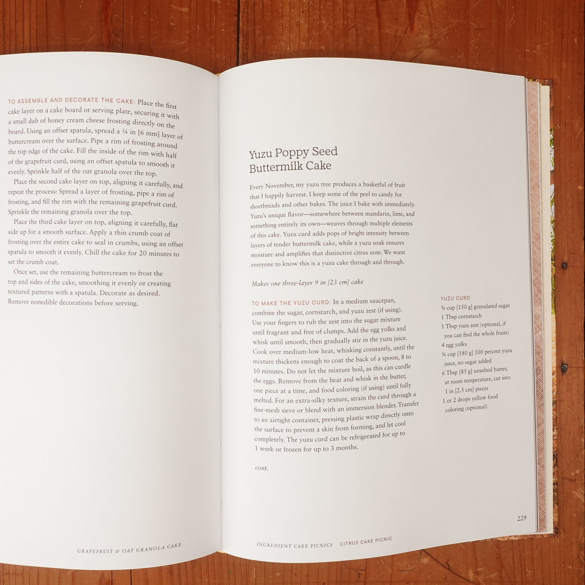 Cake Picnic: Recipes for the Love of Cake & Friends - Elisa Sunga