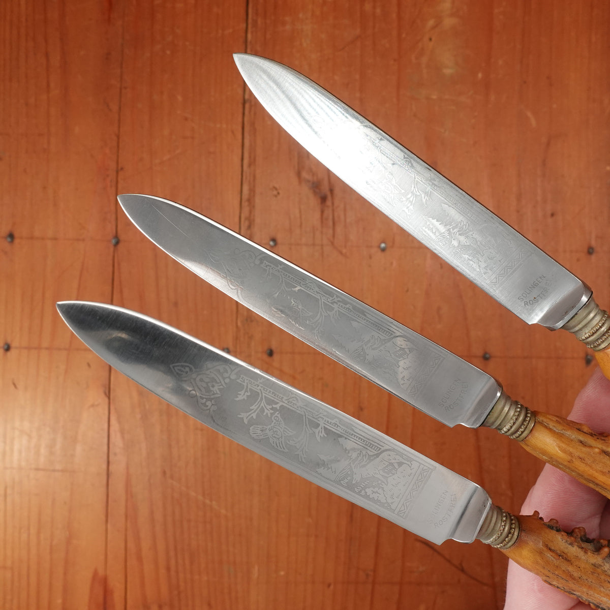 Set of 3 Steak Knives & Forks Etched Stainless & Crown Stag Solingen 1950s?