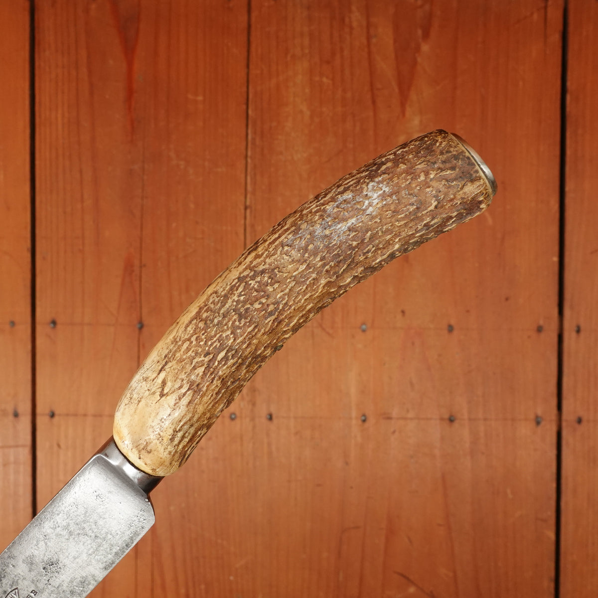 Mappin Webb 12" Roast Beef Slicer Shear Steel & Stag Sheffield 1868-1913