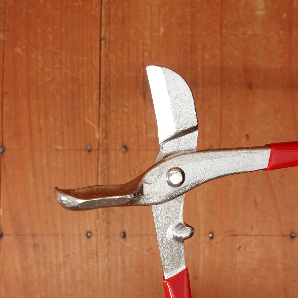 Nutcracker & Nut Pick Carbon Steel -Japan