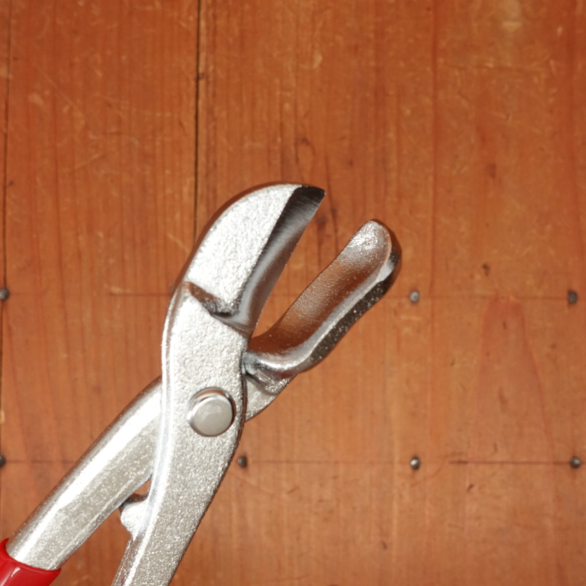 Nutcracker & Nut Pick Carbon Steel -Japan