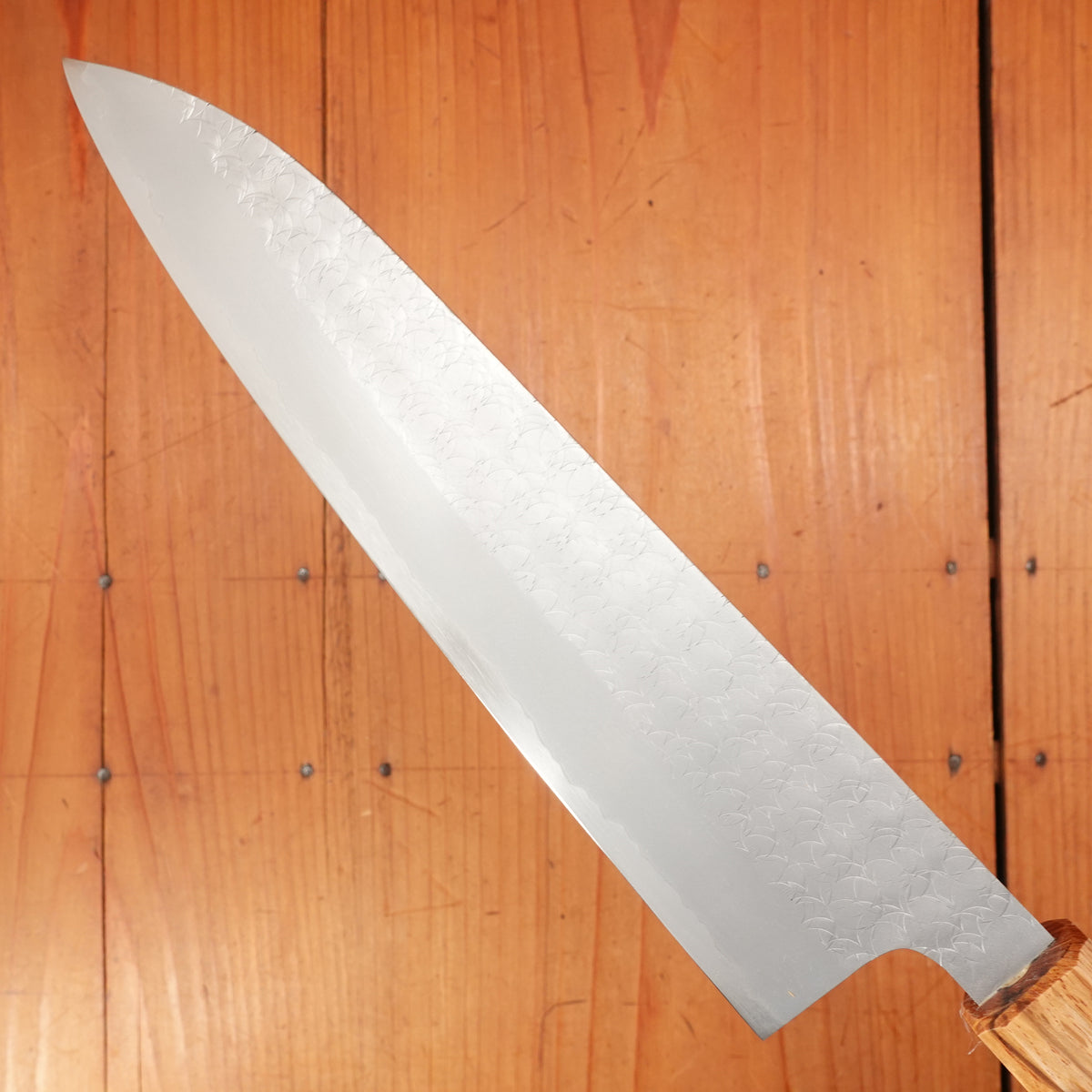 Sakai Kikumori 210mm Gyuto VG10 Tsuchime Oakwood Handle