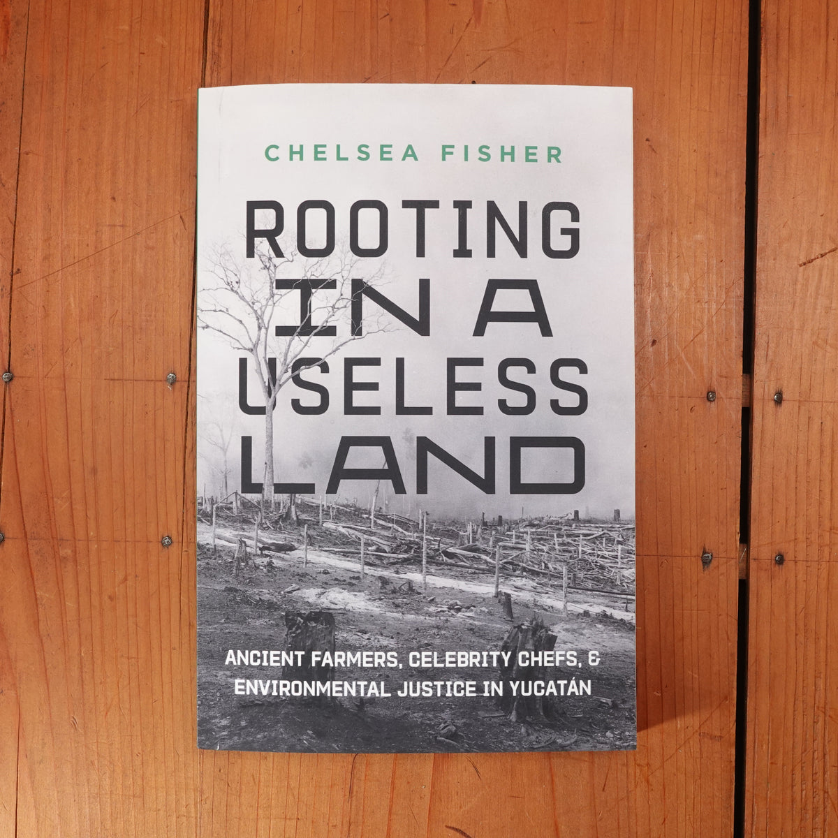 Rooting in a Useless Land - Chelsea Fisher