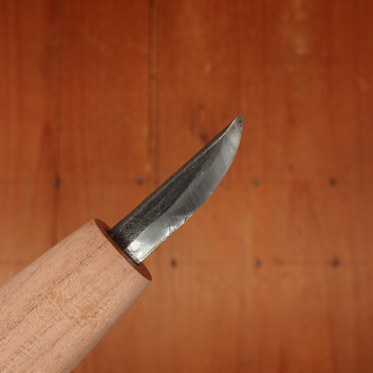 My Carving Knife with Sheath