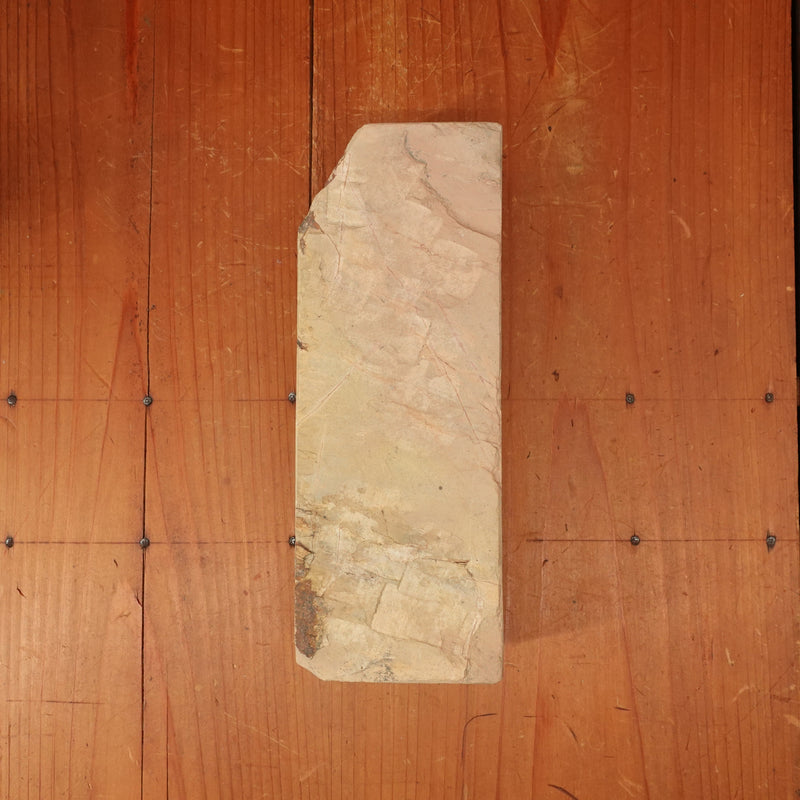 #780 Shoubudani Iromono Nashiji Fast Easy Buttery 3-3.5 Hard 3.5 Fine Type 40 1396 grams