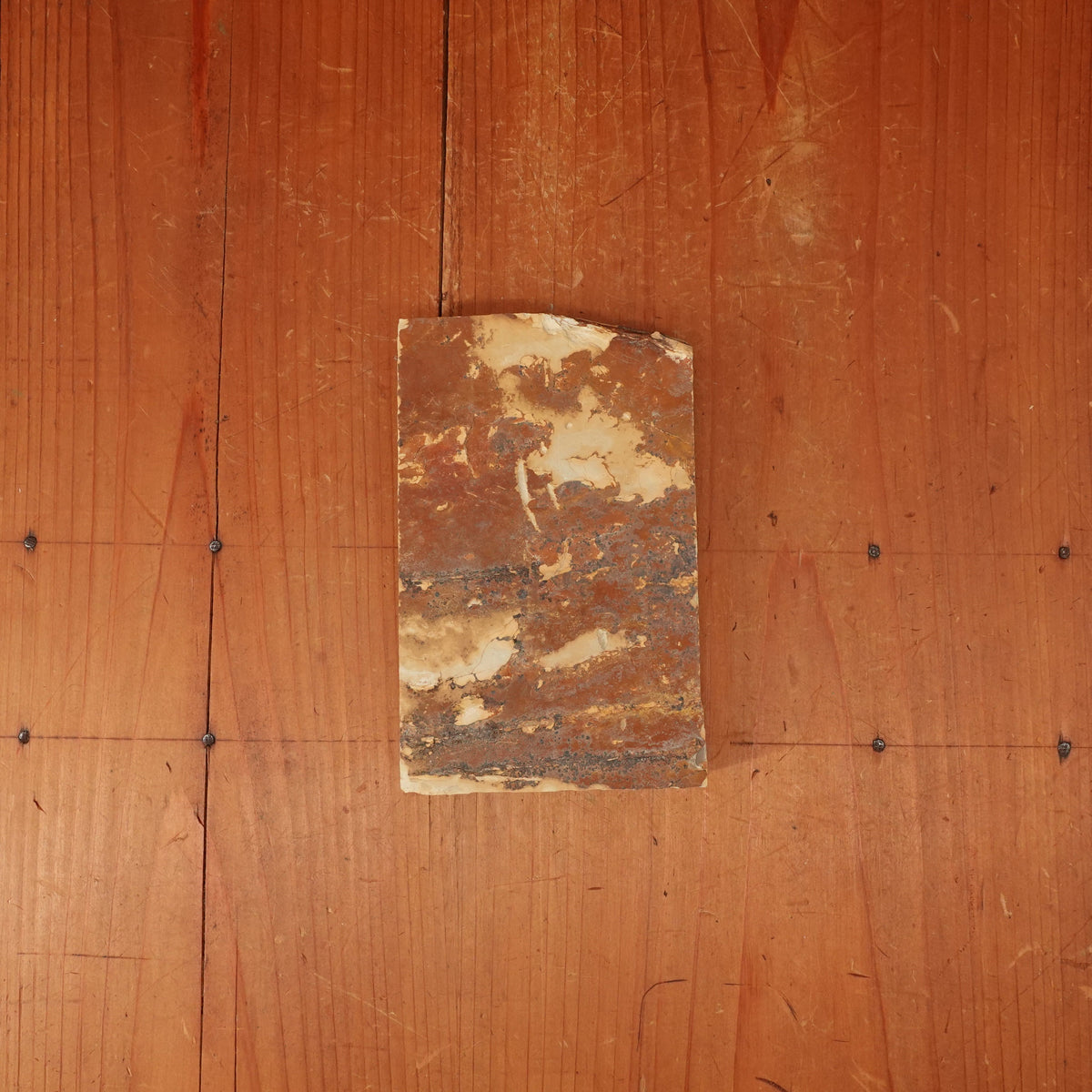 Anton Wingen Jr Steak Knife Set 6 Stainless & Composite Solingen 1960s 70s