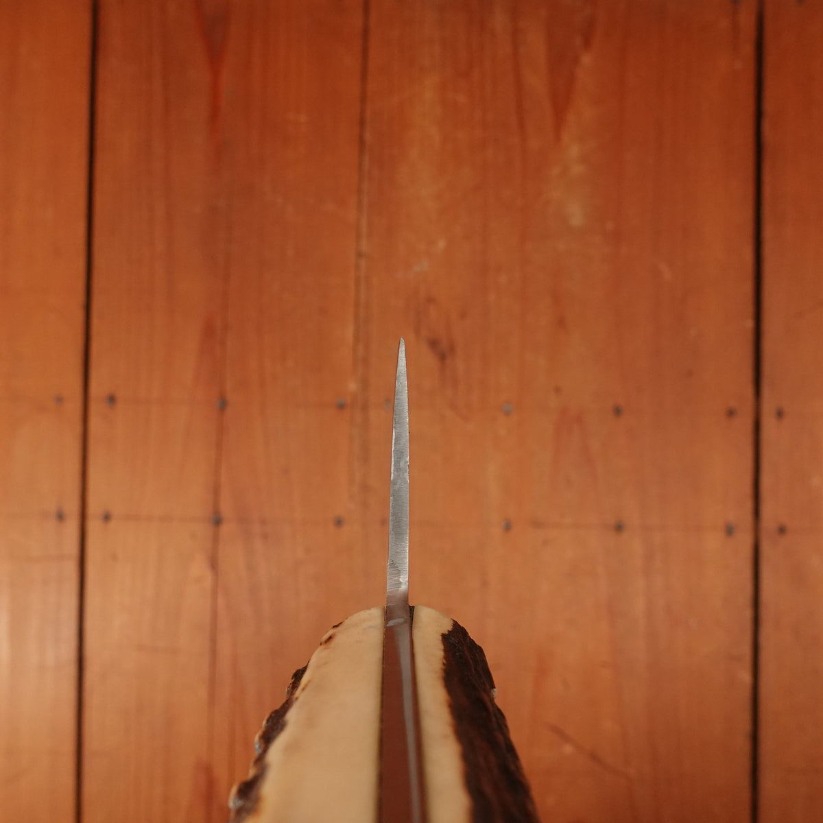 New Old Stock Nogent / Cuisine Massive 14.25" Chef Carbon Ebony St Remy Thiers 50s?