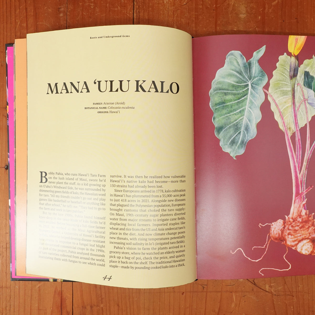 The Curious Lives of Vegetables - Ali Francis, Adriana Picker