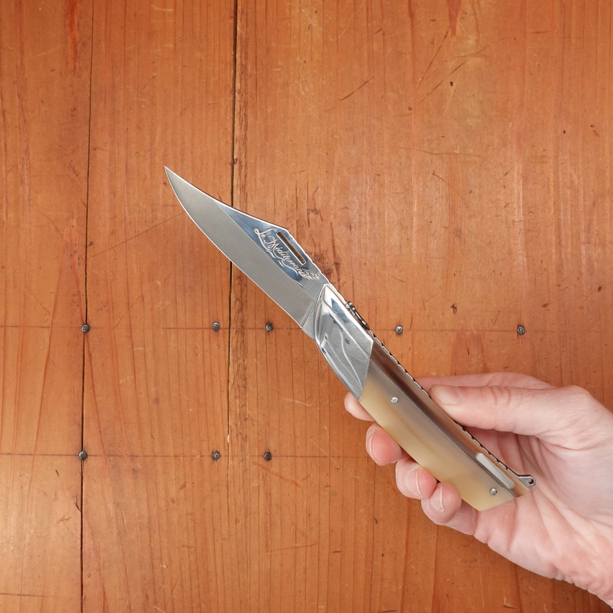 Florinox Le Méditerranée 115cm Clip Point 12C27 Slipjoint Horn Handle with Stainless Rope & Anchor Thiers, France
