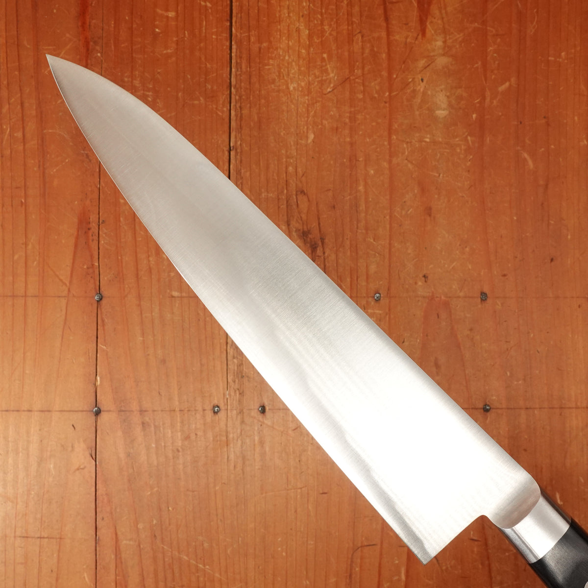 Hitohira FJ Semi Stainless 210mm Gyuto Pakka