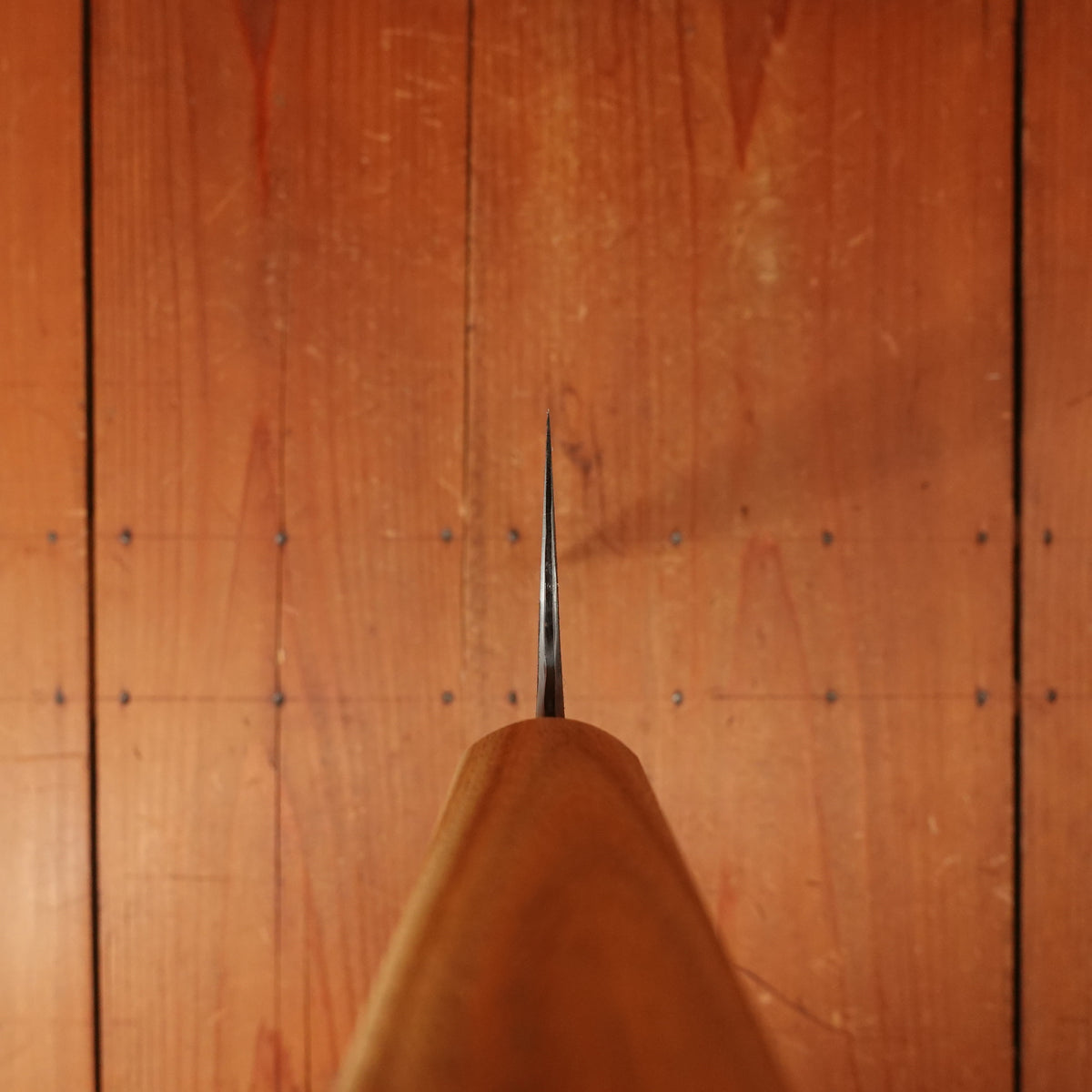 Rolin Knives 260mm Gyuto Sanmai — W2 Core / Mild Steel Clad, Textured Argentine Lignum Vitae & Brass Handle