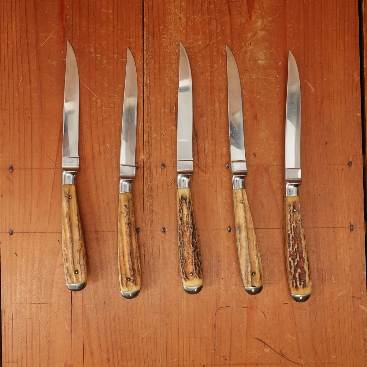 Anton Wingen Jr 5 Pc Steak Knife Set Etch and Inlay Stainless & Stag Solingen 1960s 70s