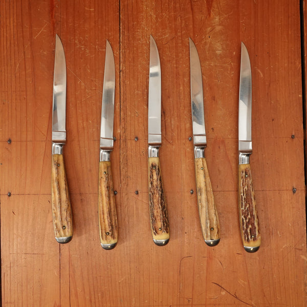 Anton Wingen Jr 5 Pc Steak Knife Set Etch and Inlay Stainless & Stag Solingen 1960s 70s