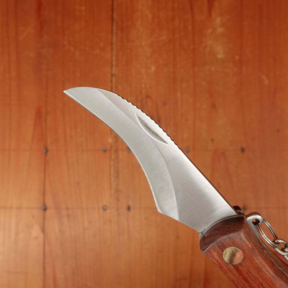 Au Nain Folding Mushroom Knife