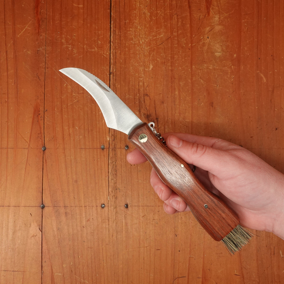 Au Nain Folding Mushroom Knife