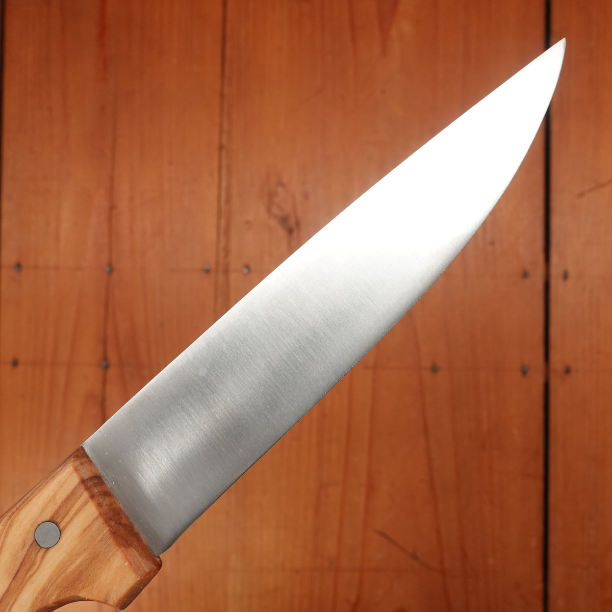 Pallares 4.75" Table Knife Stainless Olive