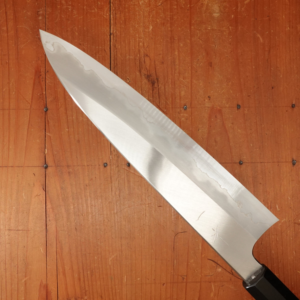 Hitohira Togashi 240mm Gyuto Stainless Clad Shirogami 1 Taihei Makassar Handle