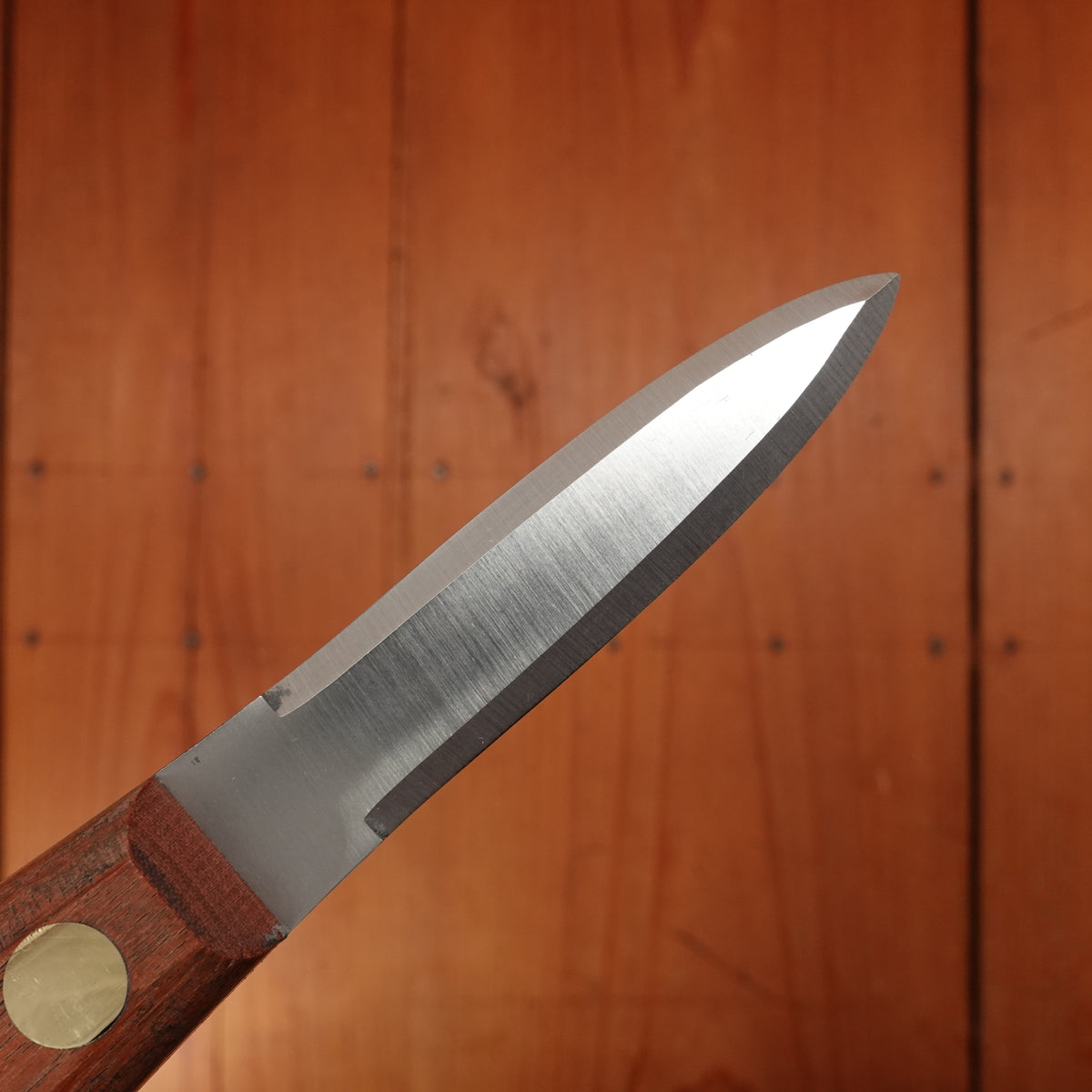 Bernal Cutlery 2.5" Oyster Knife Stainless Kotibe Handle