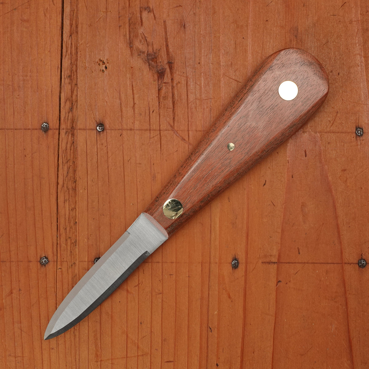 Bernal Cutlery 2.5" Oyster Knife Stainless Kotibe Handle