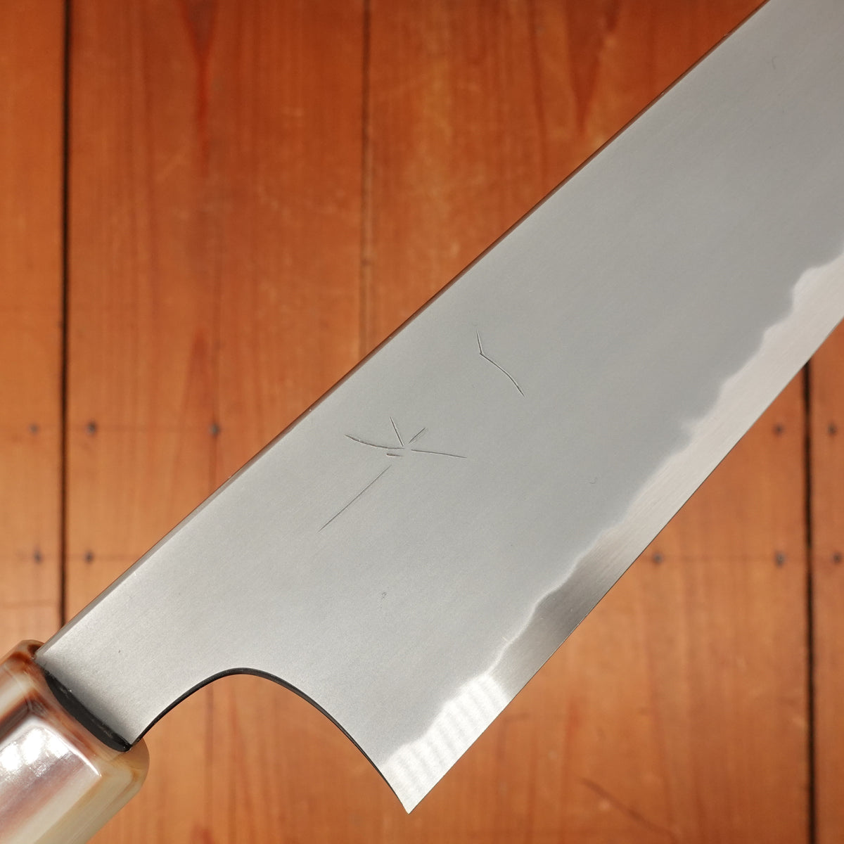 Hitohira Tanaka Yohei 240mm Gyuto Aogami 1 Kasumi Ebony Handle